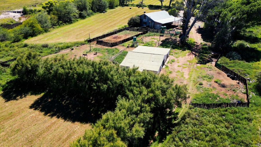 5 Bedroom Property for Sale in Steynsburg Rural Eastern Cape